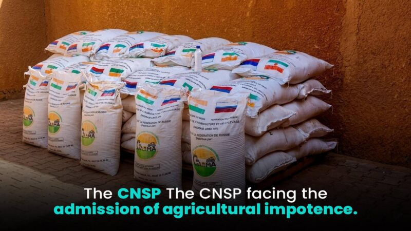 Niger’s fertilizer aid from Russia: a step toward food sovereignty or new dependency?