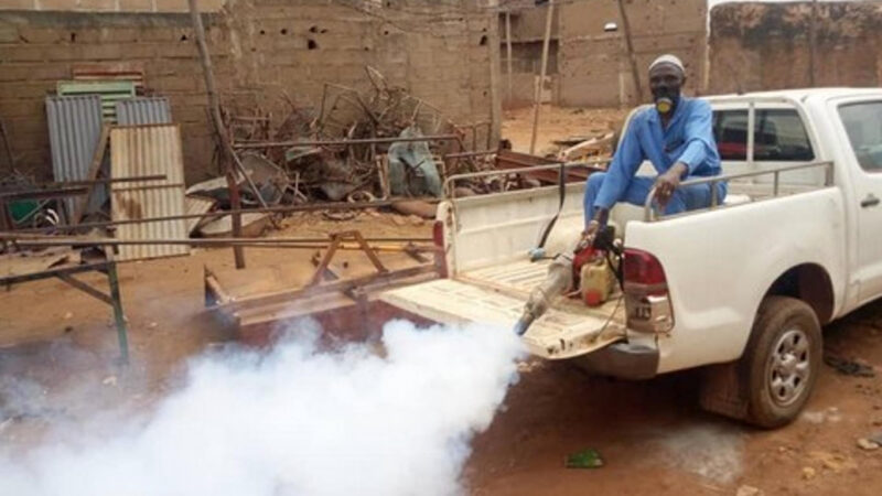 Dengue in Mali: current outbreak and prevention measures