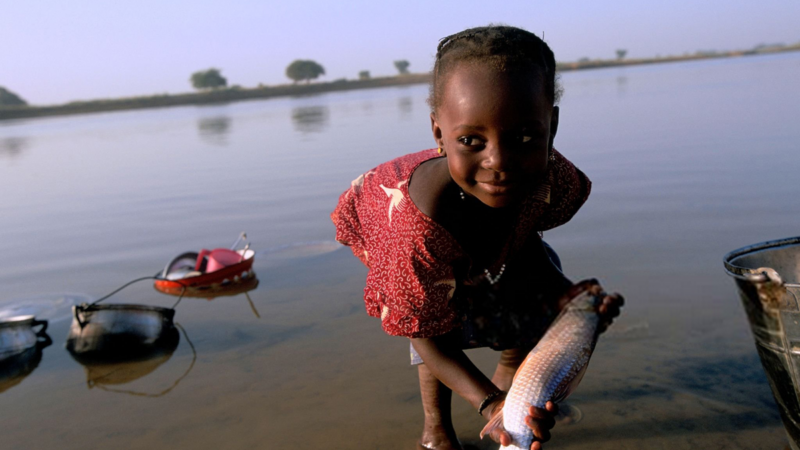 Niger achieves historic milestone by eliminating river blindness