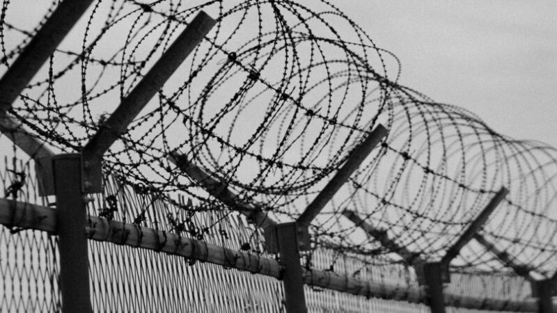 Niger journalists face judicial harassment for press freedom violations