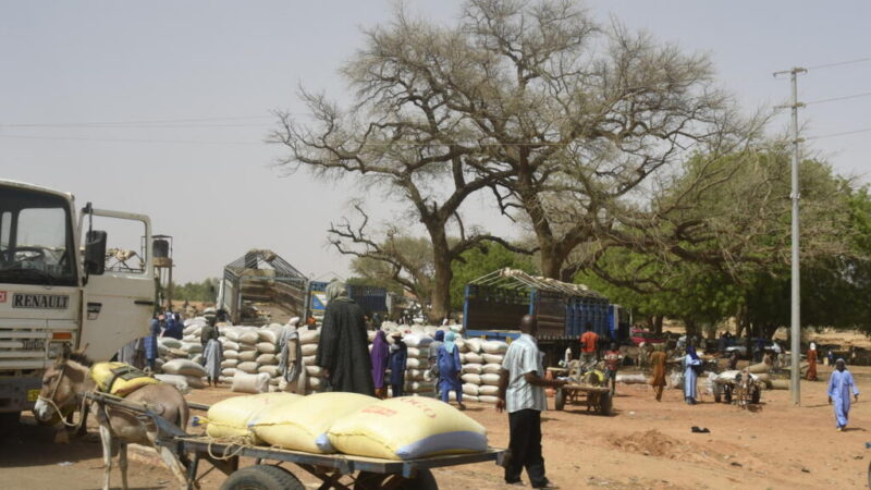Niger faces surge in displaced persons amid armed group threats