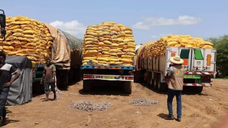 Burkina Faso’s failing sovereignty amid heavy reliance on foreign rice aid