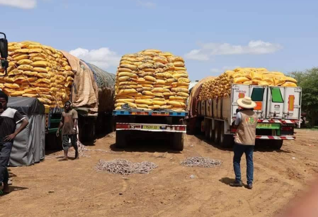 Burkina Faso’s failing sovereignty amid heavy reliance on foreign rice aid
