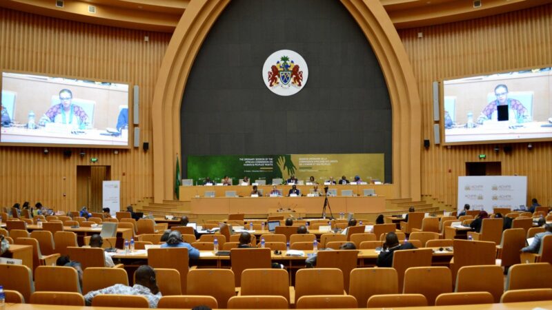 African commission urged to address human rights violations in Burkina Faso