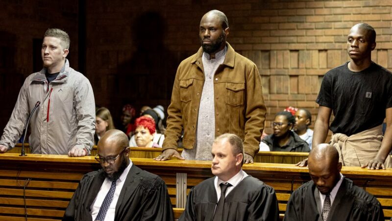 Kémi séba in South Africa: a look at the activist’s detention and controversial networks