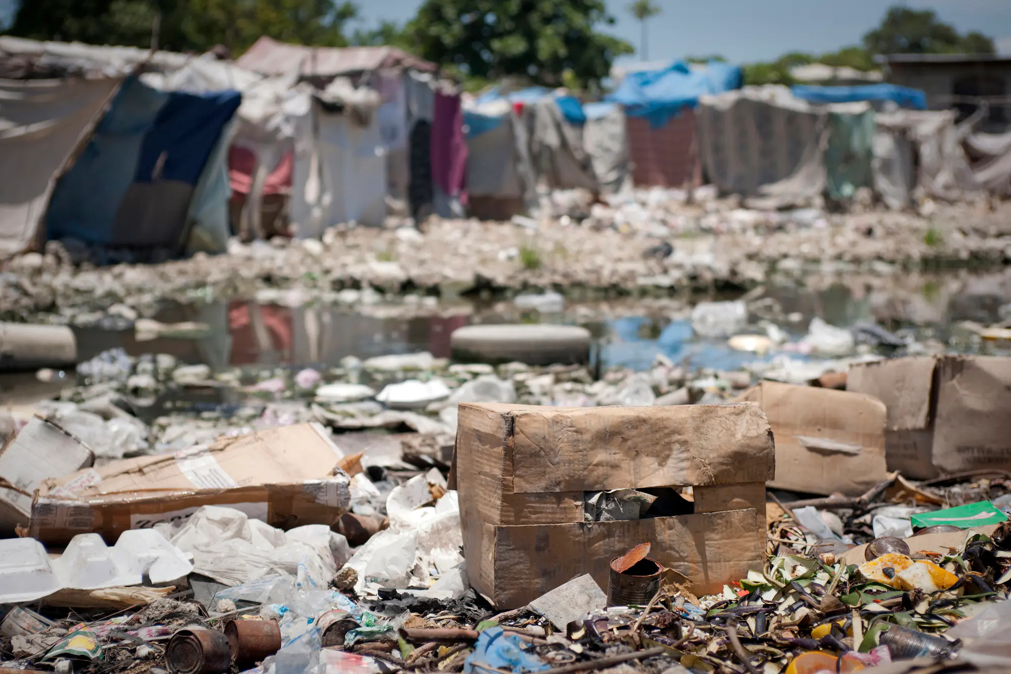 Cholera is a waterborne disease caused by contaminated water sources