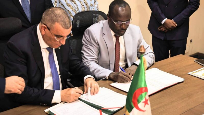 Algeria and Chad advance trans-Saharan highway infrastructure project