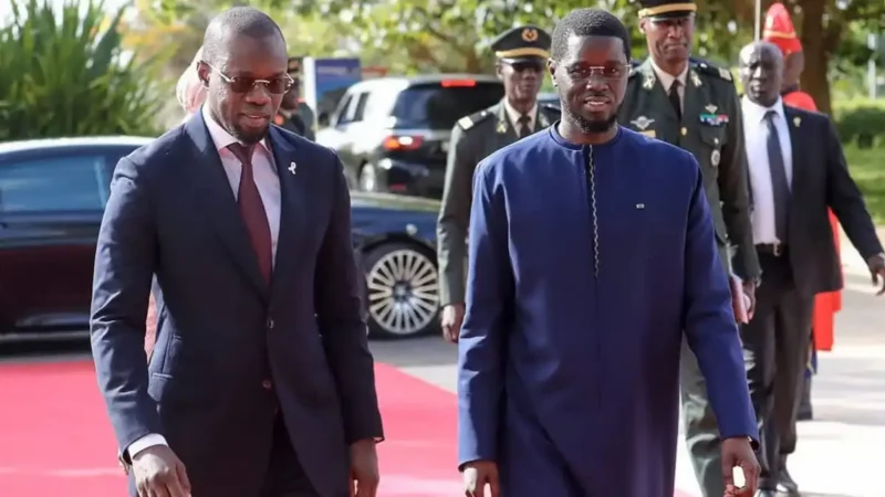 Sénégal: pastéf launches party leadership election amid sonko-diomaye tensions
