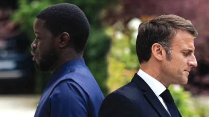 French national detained in Senegal on homosexuality charges: diplomatic tensions rise