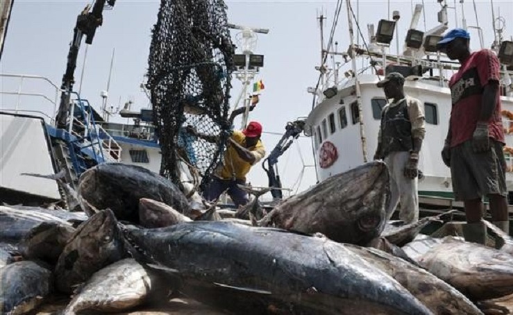 Senegal issues four deep-sea fishing licenses to boost local supply