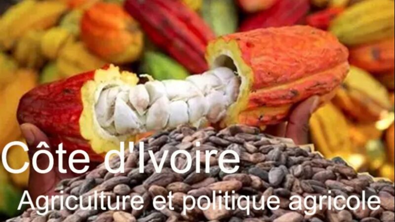 Côte d’Ivoire’s evolving agricultural landscape and policy challenges