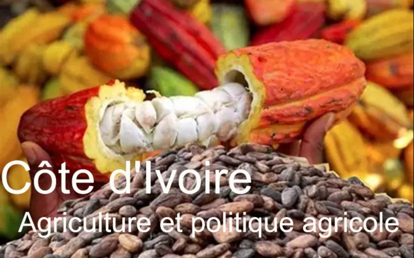 Côte d’Ivoire’s evolving agricultural landscape and policy challenges