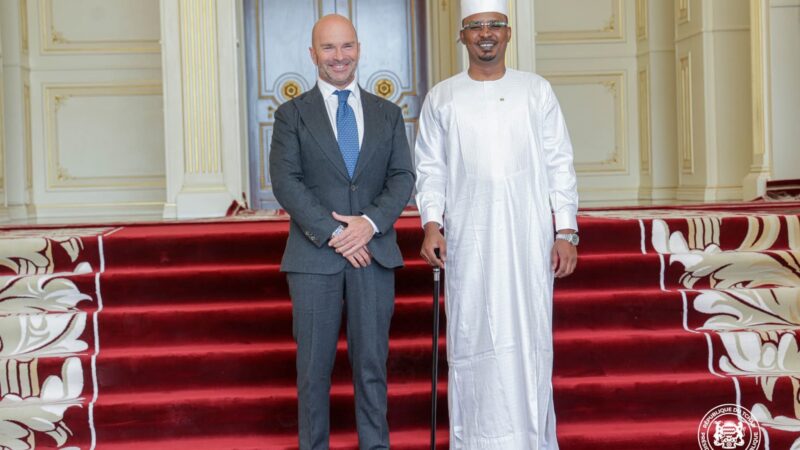 EU’s new ambassador in Chad delivers credentials to president