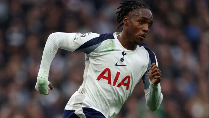 Tottenham manager de zerbi faces make-or-break premier league finale