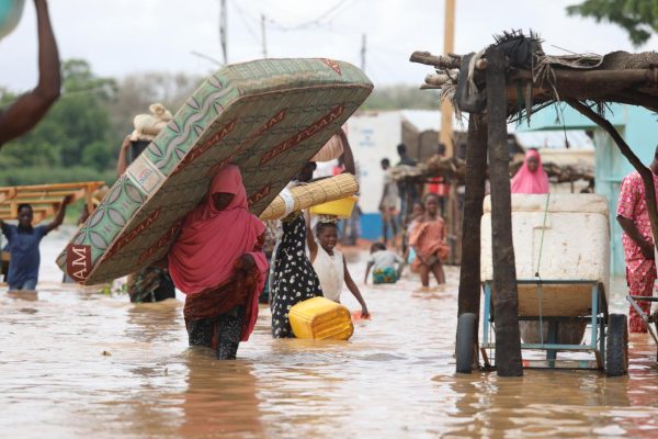 Niger prepares for 2026 rainy season risks to livestock and infrastructure
