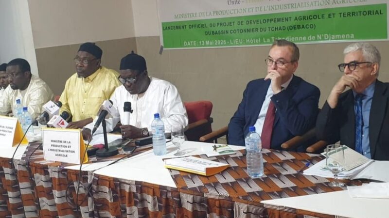 Chad’s cotton sector gets $22.5 million boost from France