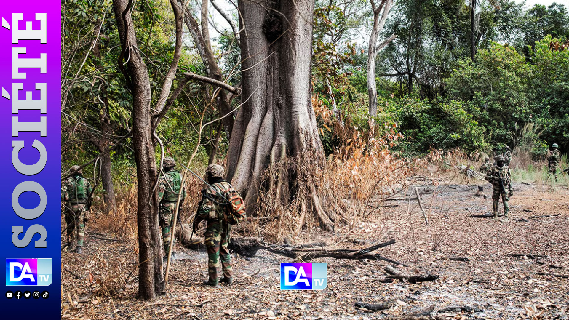 Senegal’s Casamance conflict: rebels weakened but cannabis fuels tensions