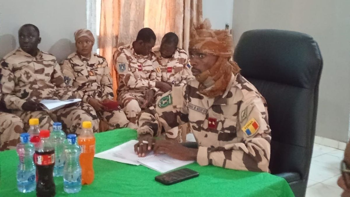 Joint Chad-central african republic forces bolster border security measures