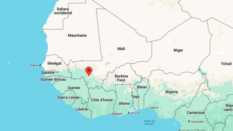 Mali protest against political party ban in Bamako