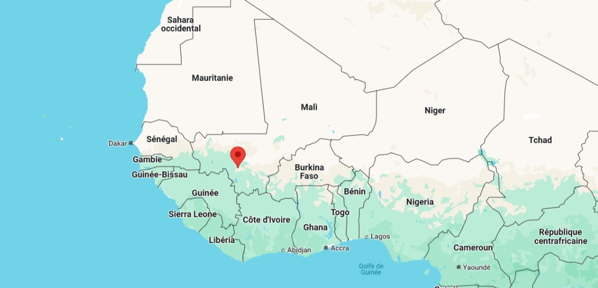 Mali protest against political party ban in Bamako