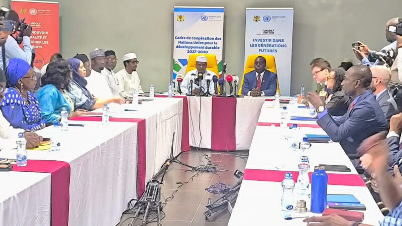 Chad un committee wraps up 2024 sustainable development talks