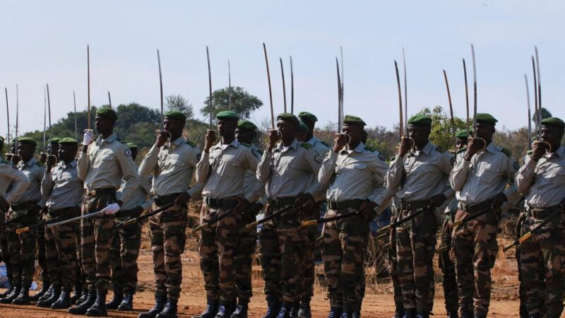 The Sahel crisis: a european concern for security and migration