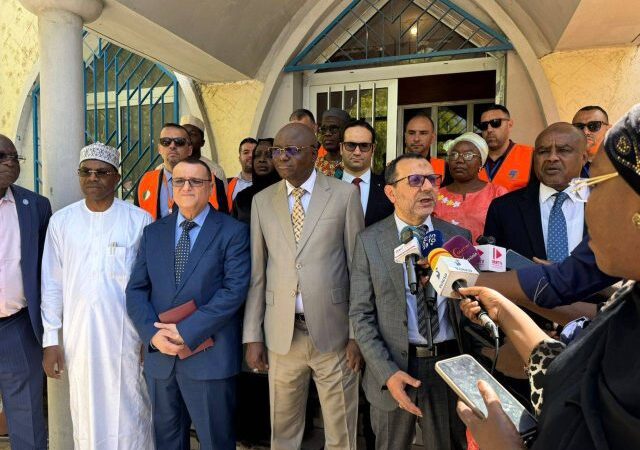 Algeria’s Sonelgaz begins work on 40 MW power plant in Tchad