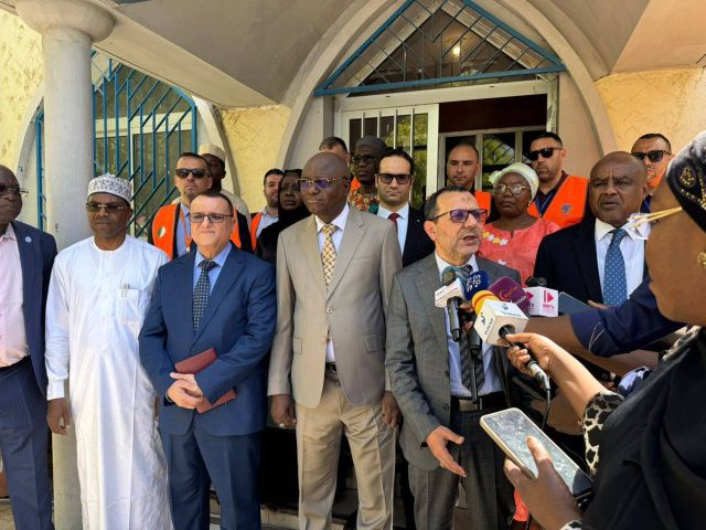Algeria’s Sonelgaz begins work on 40 MW power plant in Tchad