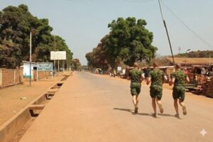 The dilemma of Russian influence: Wagner or Africa Corps for Centrafrique?