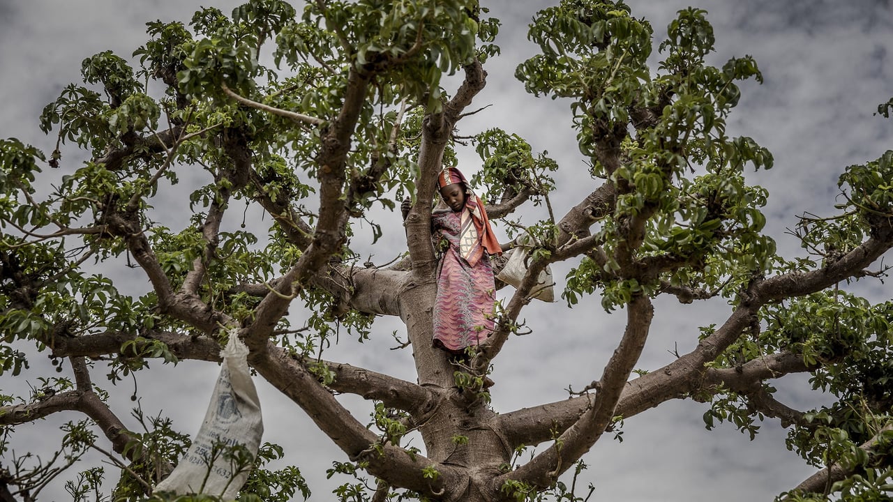 A generation’s struggle: Niger faces its worst economic crisis