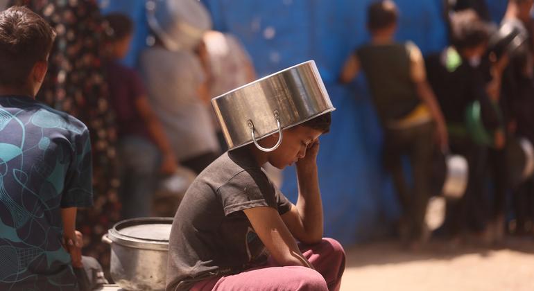 Urgent global hunger alert: gaza, haiti, Sudan, south Sudan, and Mali face extreme food crisis