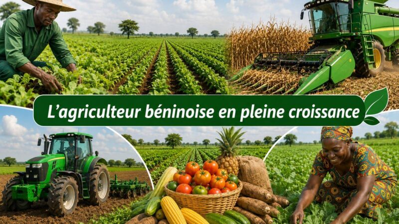 How Benin’s bold farm reforms spurred economic growth since 2016