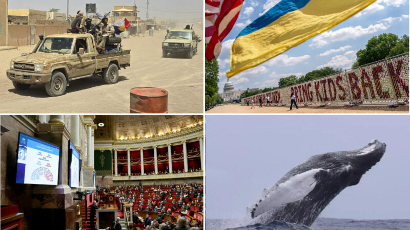 Mali’s Jnim-FLA alliance: an in-depth look