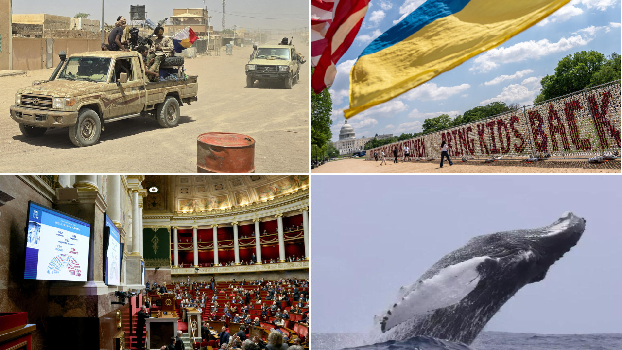 Mali’s Jnim-FLA alliance: an in-depth look
