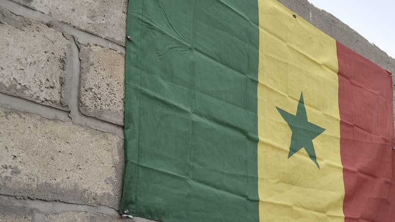 The flag of Senegal. (Illustrative photo)