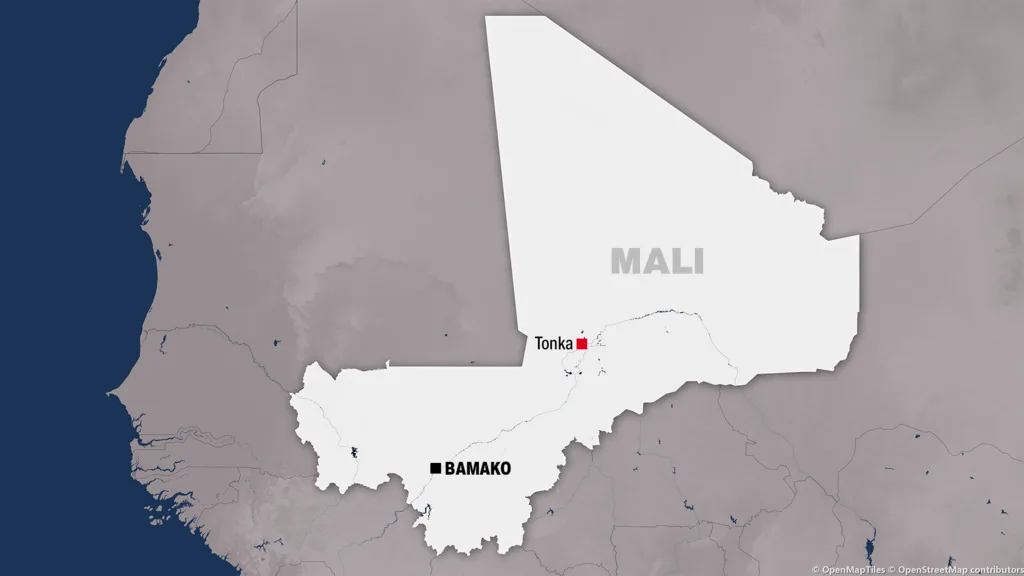Aerial view of Tonka village in Mali