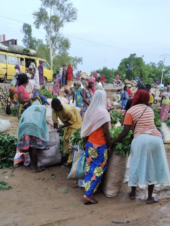 Urban disorder in N'Djamena: battling poverty as the root of the crisis