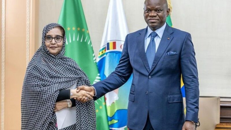 Gabon and Mauritania push for a more african francophonie