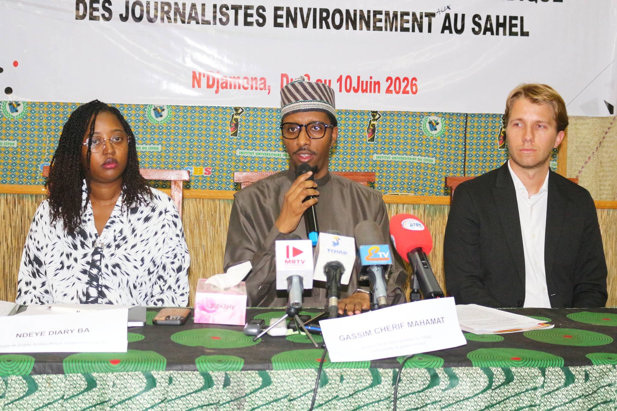 Regional workshop in N’Djamena boosts legal protection for environmental journalists