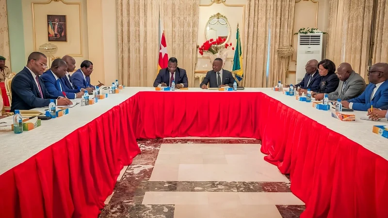 Gabon and Togo deepen ties between their constitutional courts