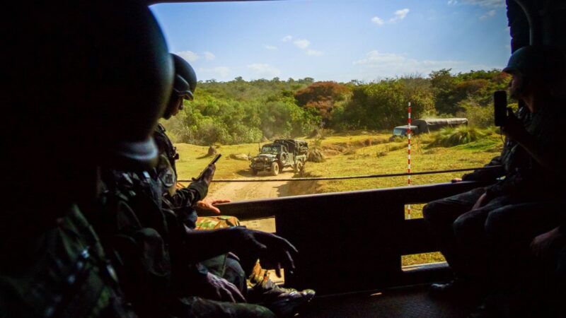 Mali bars civilians from 40 forests to flush out jihadist hideouts