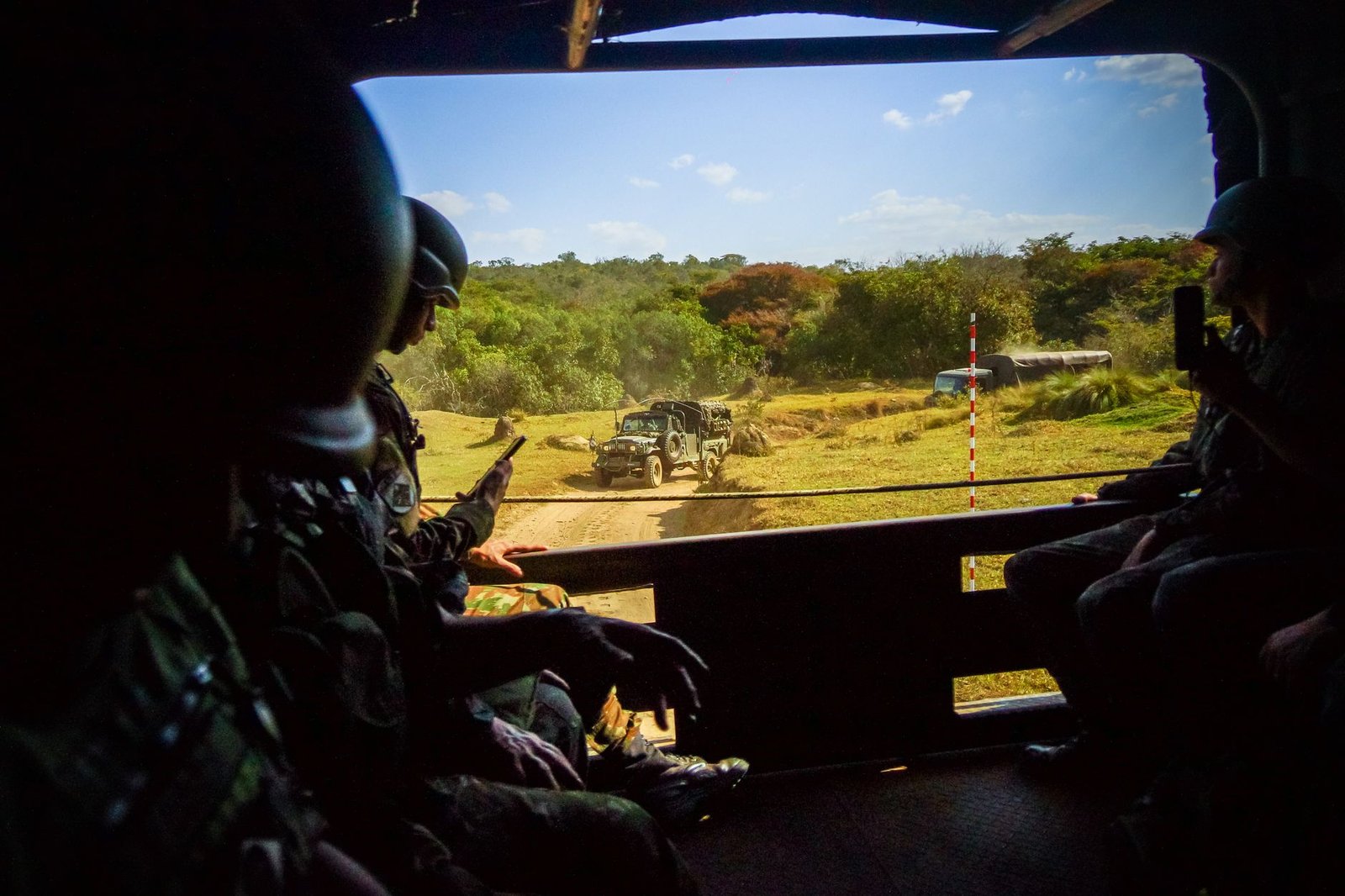 Mali bars civilians from 40 forests to flush out jihadist hideouts