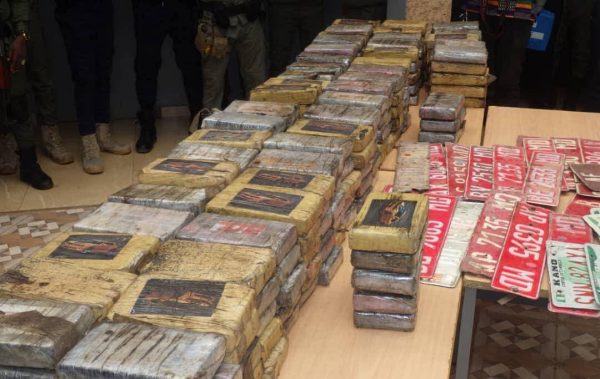 Niger’s anti-drug agency OCRTIS leads pivotal fight against international narcotics networks