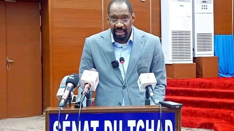 Tchad: minister urges unity against intercommunal violence