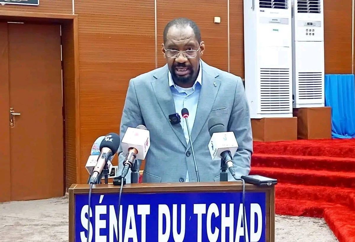 Tchad: minister urges unity against intercommunal violence