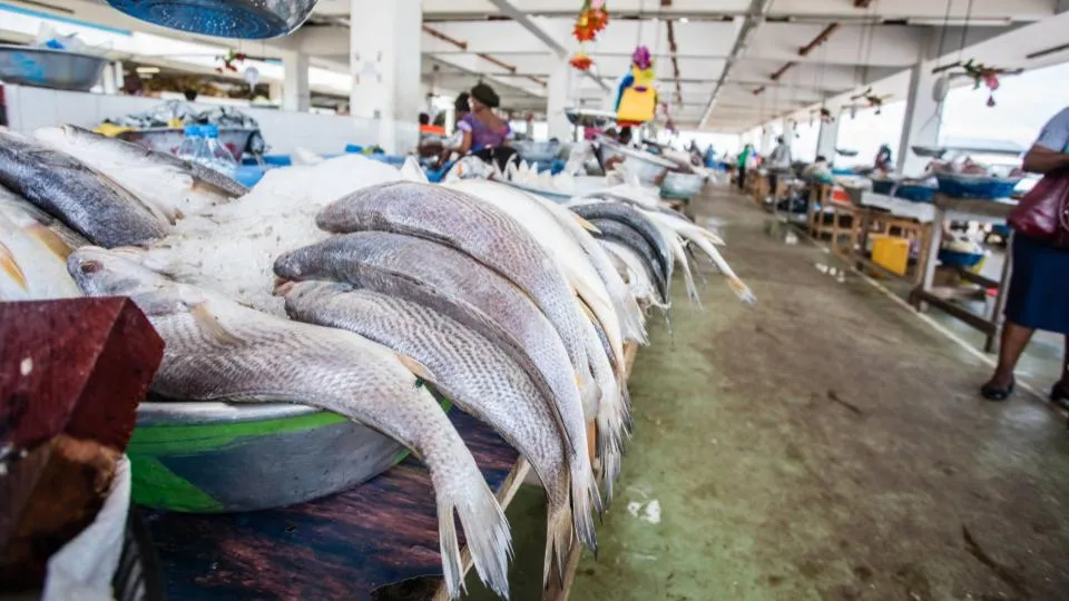 Gabon terminates long-standing fishing pact with european union