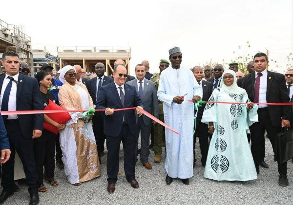 Algeria donates 40 mw power plant to Niger amid energy crisis