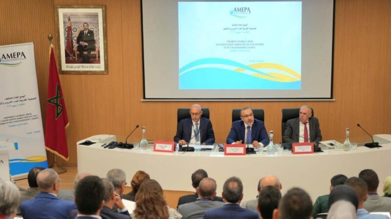 Tarik Hamane takes helm of AMEPA for four-year term