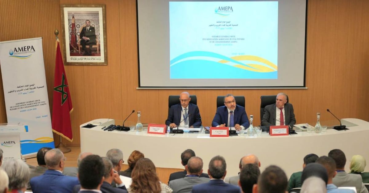 Tarik Hamane takes helm of AMEPA for four-year term