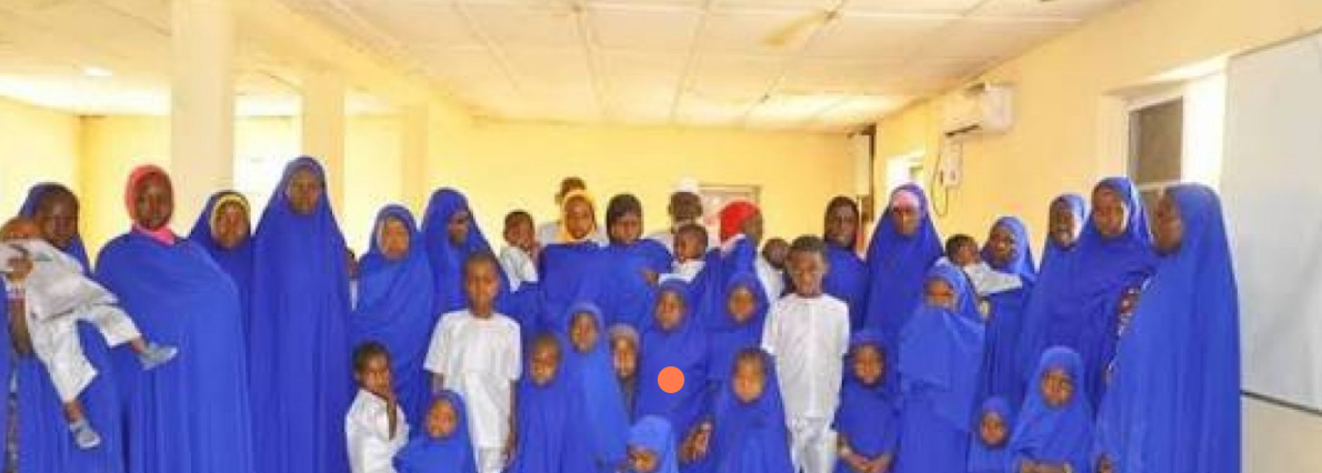 Nigerian forces liberate 47 captives from iswap in borno state